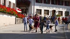 2016-09 Simonswald Almabtrieb (12)